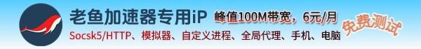 老鱼加速器