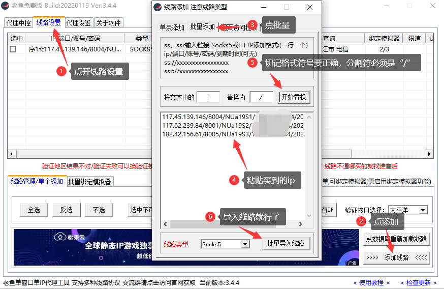 老鱼1