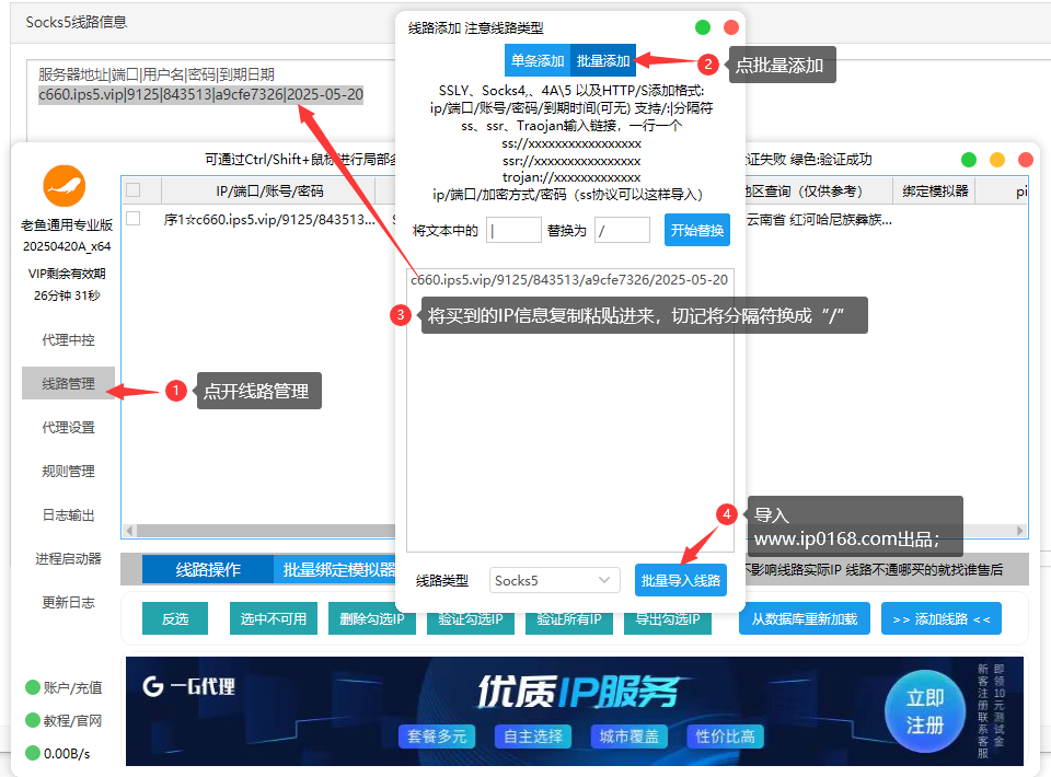 老鱼专业版2